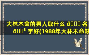 大林木命的男人取什么 🐎 名 🐳 字好(1988年大林木命缺什么)